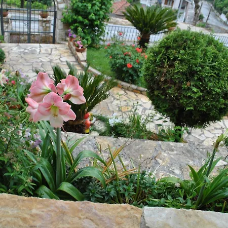 Amaryllis Luxury Suite Parga Exterior photo