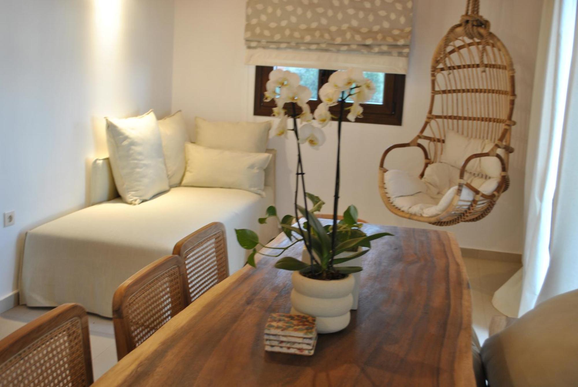 Amaryllis Luxury