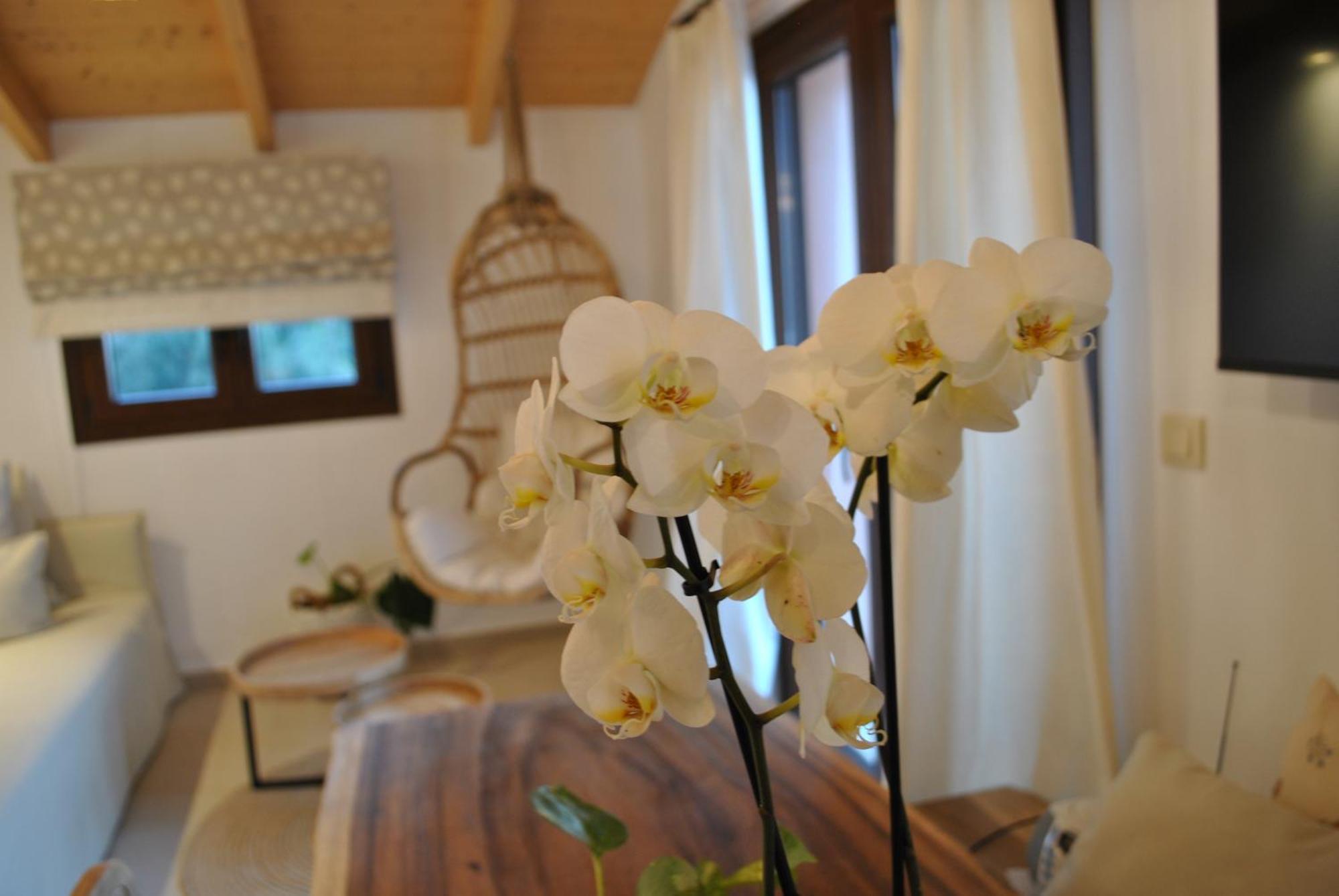 Amaryllis Luxury Apartment *
